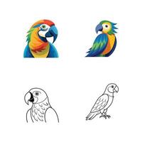 a set of four different parrots, including a green one vector