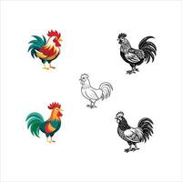 rooster set of four different roosters on white background vector