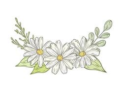 Chamomile flower with green leaves and branches. color illustration, flower bouquet. Design and decoration of chamomile, daisy products. Herbs, plant, greenery, botanical postcard. vector