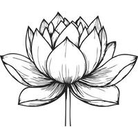 Black Minimalist Monoline Lotus vector