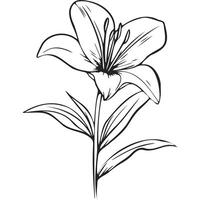 Black Minimalist Monoline Lily vector