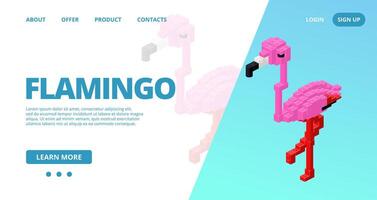 Web template with a flamingo. vector