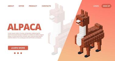 Web template with a alpaca. vector