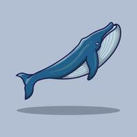 design Ocean Whale. Whale Cartoon design illustration and icon for website, digital and print vector