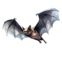 A Brown Bat in Flight with Spread Wings png
