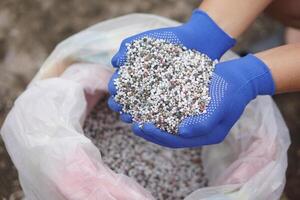 Close up hands hold mixed chemical fertilizer. Concept chemical fertilizer production use in agriculture consists of basic nutrients which are Nitrogen AND, Phosphate P2O5and Potassium K2O. photo