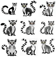 A set of Lemur vector