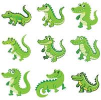 A set of alligator illustrator. vector
