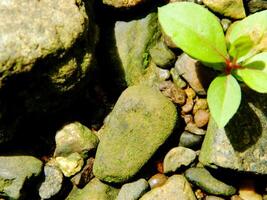 Abstract background with mountain rocks. Large shaped rocks that can be found on the shore of the sea, lake or river. photo