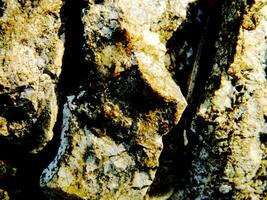 Abstract background with mountain rocks. Large shaped rocks that can be found on the shore of the sea, lake or river. photo