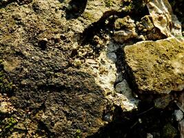 Abstract background with mountain rocks. Large shaped rocks that can be found on the shore of the sea, lake or river. photo