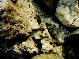 Abstract background with mountain rocks. Large shaped rocks that can be found on the shore of the sea, lake or river. photo