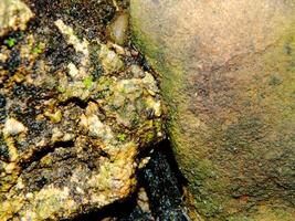 Abstract background with mountain rocks. Large shaped rocks that can be found on the shore of the sea, lake or river. photo