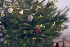 Close up of christmas tree with pine cones, string lights, garlands with selective focus. Background, backdrop with copy space. Concept of Christmas Eve, celebration, magic photo