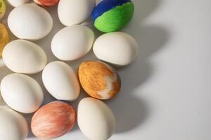 Colorful easter eggs on a white background with copy space. photo