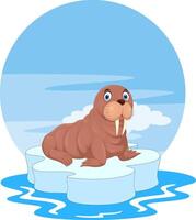 Cartoon funny walrus on white background vector