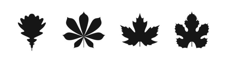 Leaf icon. Nature symbol vector