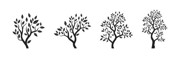 Tree with leaves icon. Nature symbol vector