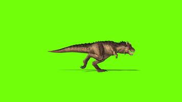 Dinosaur Run Animation on Green Screen video