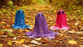 Halloween holiday concept. Handmade colorful ghosts made from bandages and glue in autumn forest background. Children's art project. DIY concept. video