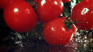 Fresh tomatoes with a splash of water. Filmed on a high-speed camera at 1000 fps. High quality FullHD footage video