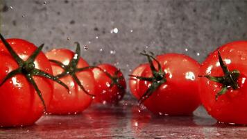 Fresh tomatoes with a splash of water. Filmed on a high-speed camera at 1000 fps. High quality FullHD footage video