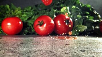 Sliced tomatoes with spices fall on the table. Filmed on a high-speed camera at 1000 fps. High quality FullHD footage video