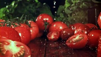 Fresh tomatoes with a splash of water. Filmed on a high-speed camera at 1000 fps. High quality FullHD footage video