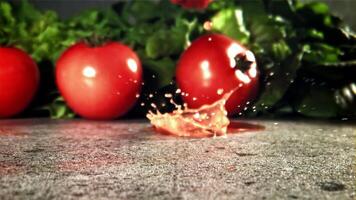 Sliced tomatoes with spices fall on the table. Filmed on a high-speed camera at 1000 fps. High quality FullHD footage video