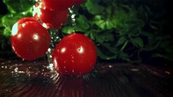 Fresh tomatoes with a splash of water. Filmed on a high-speed camera at 1000 fps. High quality FullHD footage video