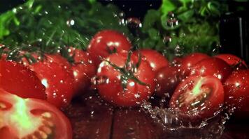 Fresh tomatoes with a splash of water. Filmed on a high-speed camera at 1000 fps. High quality FullHD footage video