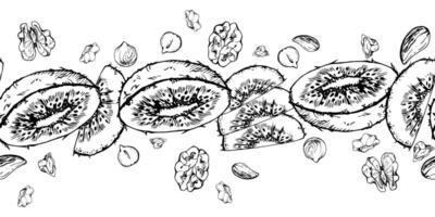Hand drawn ink sliced kiwi fruit and nuts mix for diet, healthy lifestyle, vegan cooking. Illustration seamless border isolated on white background. Design recipe book, website, card, menu vector