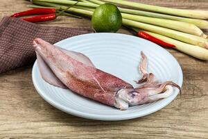 Raw fresh squid for cooking photo