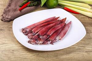 Raw fresh squids for cooking photo