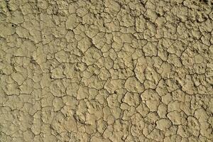 Cracked red clay and white salt on the surface in a dried riverbed in the desert of New Mexico, USA photo