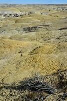 Weird sandstone formations created by erosion at Ah-Shi-Sle-Pah Wilderness Study Area in San Juan County near the city of Farmington, New Mexico. photo