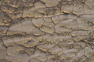 Cracked red clay and white salt on the surface in a dried riverbed in the desert of New Mexico, USA photo