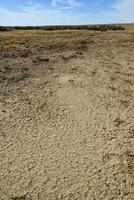 Cracked red clay and white salt on the surface in a dried riverbed in the desert of New Mexico, USA photo