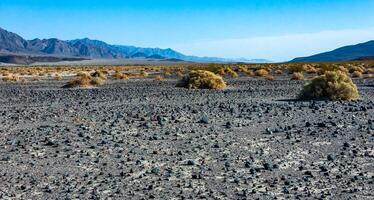 View of dry rock desert with sparse drought-resistant vegetation in Death Valley, Death Valley National Park, California photo