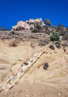 Conifers and other drought-resistant plants grow on the clay and stone rocks of the mountain at the pass in the Sierra Nevada Mountains, California, USA photo