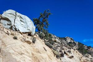 Conifers and other drought-resistant plants grow on the clay and stone rocks of the mountain at the pass in the Sierra Nevada Mountains, California, USA photo