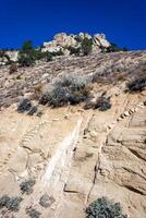 Conifers and other drought-resistant plants grow on the clay and stone rocks of the mountain at the pass in the Sierra Nevada Mountains, California, USA photo