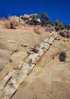 Conifers and other drought-resistant plants grow on the clay and stone rocks of the mountain at the pass in the Sierra Nevada Mountains, California, USA photo
