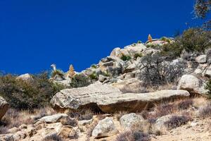 Conifers and other drought-resistant plants grow on the clay and stone rocks of the mountain at the pass in the Sierra Nevada Mountains, California, USA photo