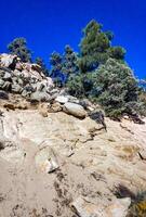 Conifers and other drought-resistant plants grow on the clay and stone rocks of the mountain at the pass in the Sierra Nevada Mountains, California, USA photo