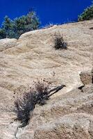 Conifers and other drought-resistant plants grow on the clay and stone rocks of the mountain at the pass in the Sierra Nevada Mountains, California, USA photo