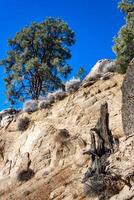 Conifers and other drought-resistant plants grow on the clay and stone rocks of the mountain at the pass in the Sierra Nevada Mountains, California, USA photo