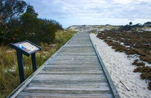 New Jersey, USA - November 19, 2009 Island Beach State Park. Wooden deck on the sand towards the ocean photo