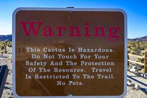 Joshua Tree, California - November 24, 2009 Cholla Cactus hazard warning board, Joshua Tree NP, California photo
