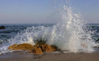 Waves break on a stone and white splashes of water fly into the air, the Black Sea photo